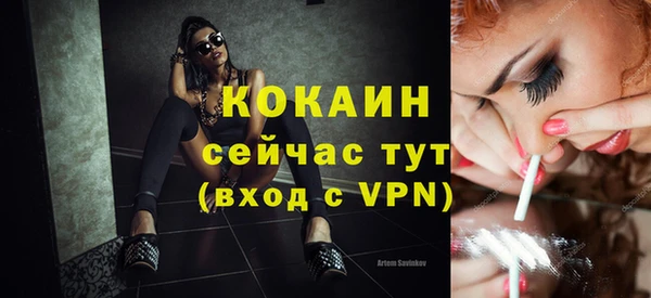 мет Каменка