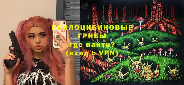 мет Каменка