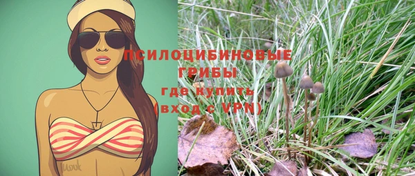 винт Каменск-Шахтинский
