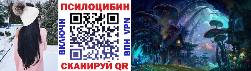 Псилоцибиновые грибы Psilocybe  Нахабино 