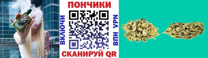Канабис гибрид  Нахабино 